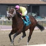Jockey Club releases 2019 Fact Book