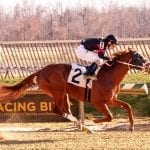 Pegasus World Cup: Seeking the Soul, True Timber added to mix