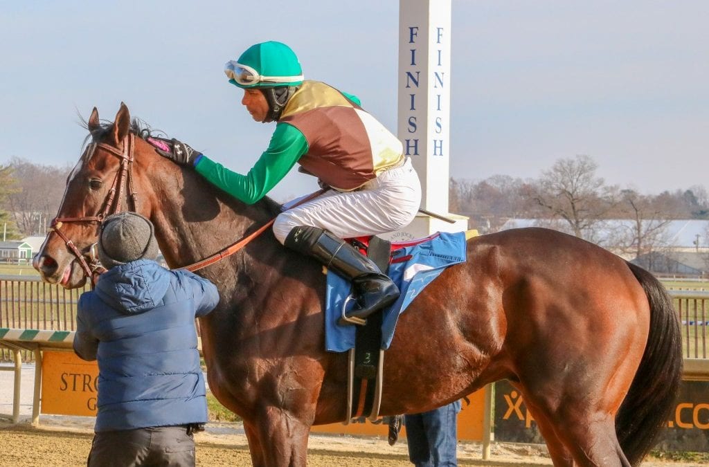 One strange Preakness season kicks off… strangely