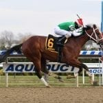 Which races are in Friday’s Stronach 5?