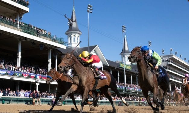 Shamrock Rose named Top Midlantic-bred of 2018