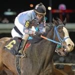 Maryland Million set for October 19