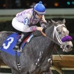 Barbara Jo Rubin to be honored at Charles Town