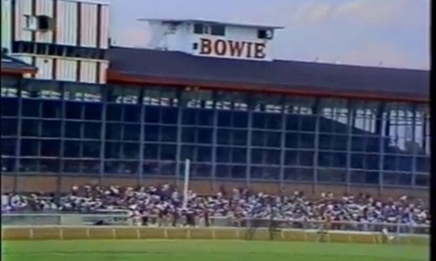 Ghosts of racetracks past: Bowie and its breed