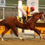 Midlantic racing: Weather wins