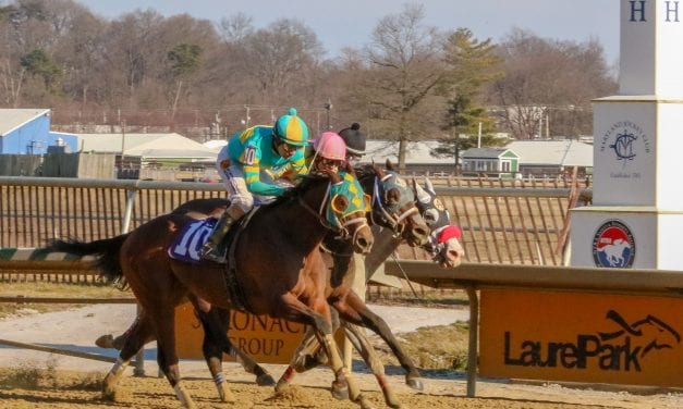 Bonus Points, Las Setas take Laurel undercard stakes