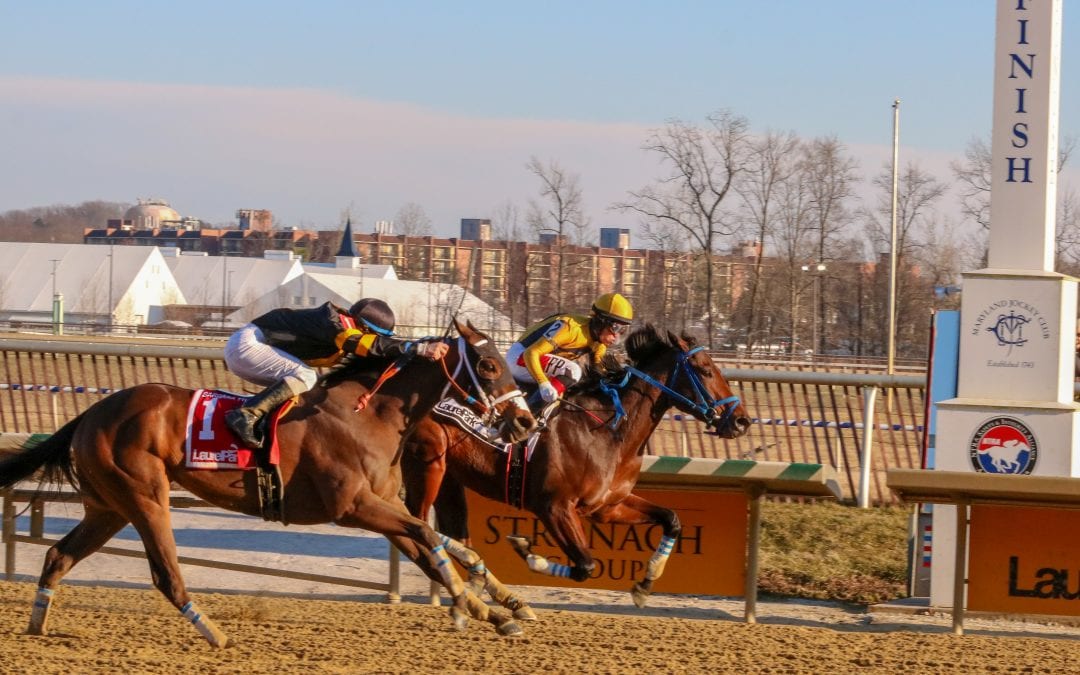 Late Night Pow Wow, Call Paul head Top Midlantic-bred Poll