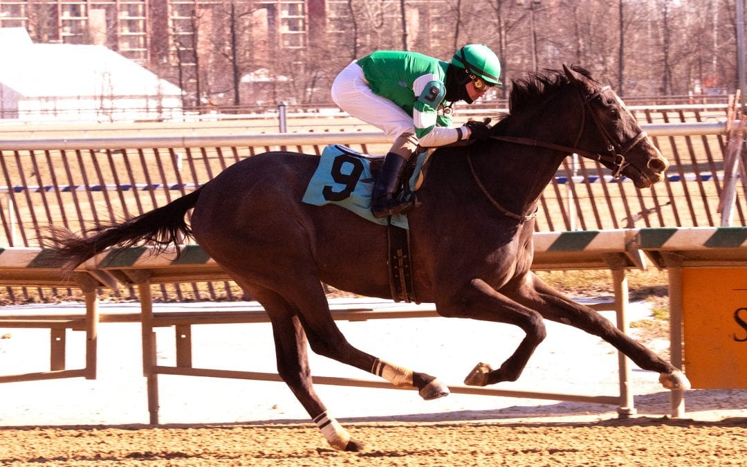 Linder strikes thrice: The week in maiden winners