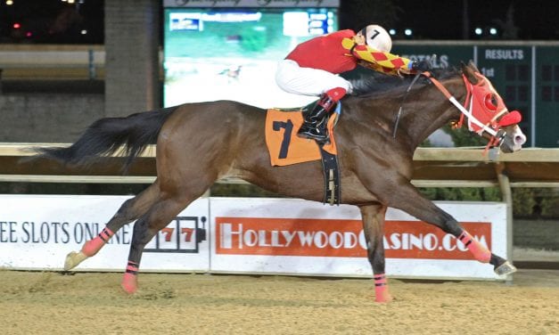 Mini Bolt strikes, breaks maiden in 51st start