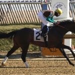Miracle Wood launches local route to Preakness