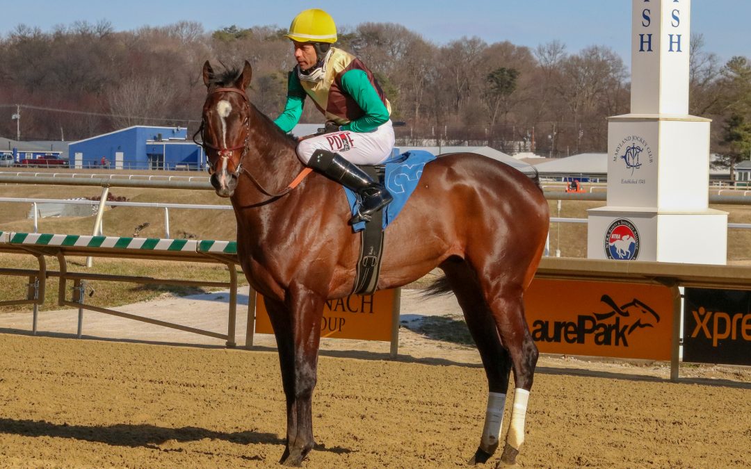 What we learned (and didn’t) this weekend at Laurel Park