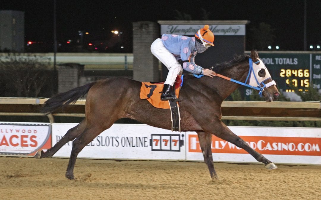 Hero’s Man looks to build on super debut