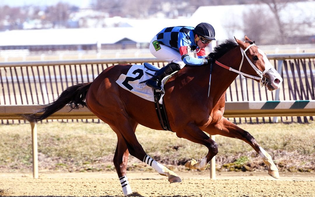 After dazzling debut, Hoffa’s Union sells high