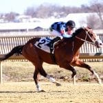 Hearings done, now comes hard part on Pimlico, industry future