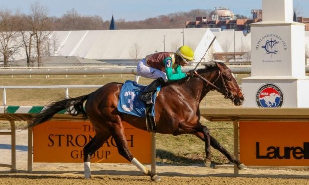 Alwaysmining has “lovely” final work for Preakness