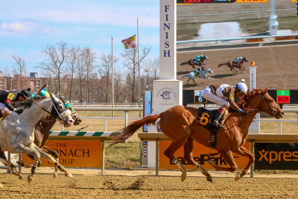 Cordmaker  took the Harrison Johnson Memorial Stakes. Photo by Dottie Milller.