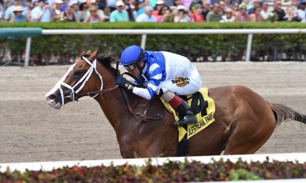 McConnell family riding wave with aptly named Prince Lucky