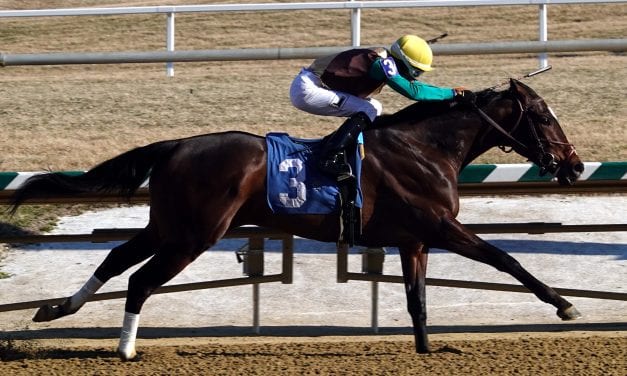 Laurel Park stakes day photo gallery