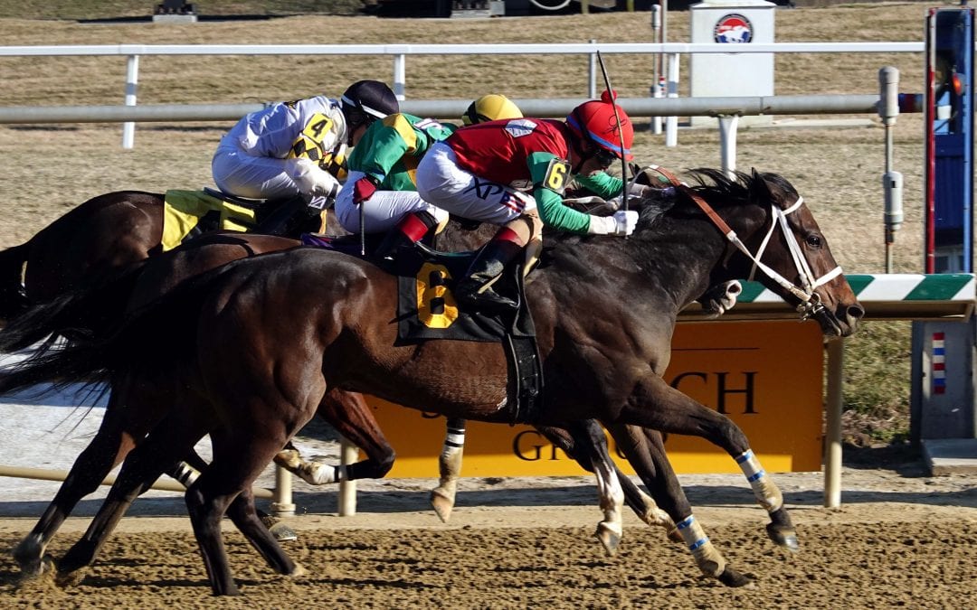 Laurel Park picks and ponderings December 7, 2019