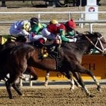 Star of Night wins My Sister Pearl thriller