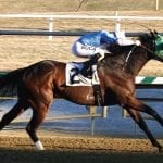 Md Million: Mr. d’Angelo back to defend Turf title