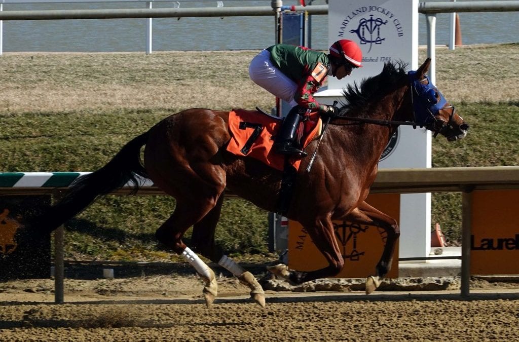 Out for a Spin zooms to head of Top Midlantic-bred Poll