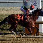 Pimentel in the Derby, Pimlico seating, and CT Classic: The week in social media
