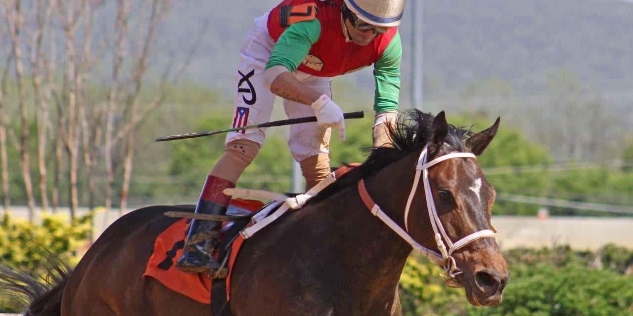 Anna’s Bandit delivers first Maryland foal of ’23