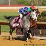 Laurel Park live racing on hiatus “until further notice”