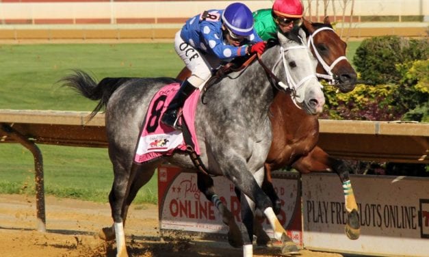 Runnin’toluvya holds steady in Top Midlantic-bred Poll