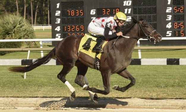 Win Win Win “a go” for Preakness