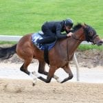 Almanaar, Sunny Ridge take Monmouth graded stakes