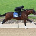 Record-breaking filly powers productive Fasig-Tipton 2yo sale