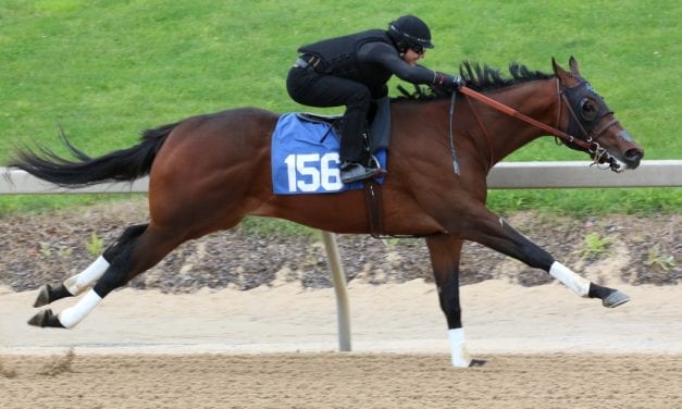 Half-million dollar horse tops day one of Fasig-Tipton Midlantic 2yo sale