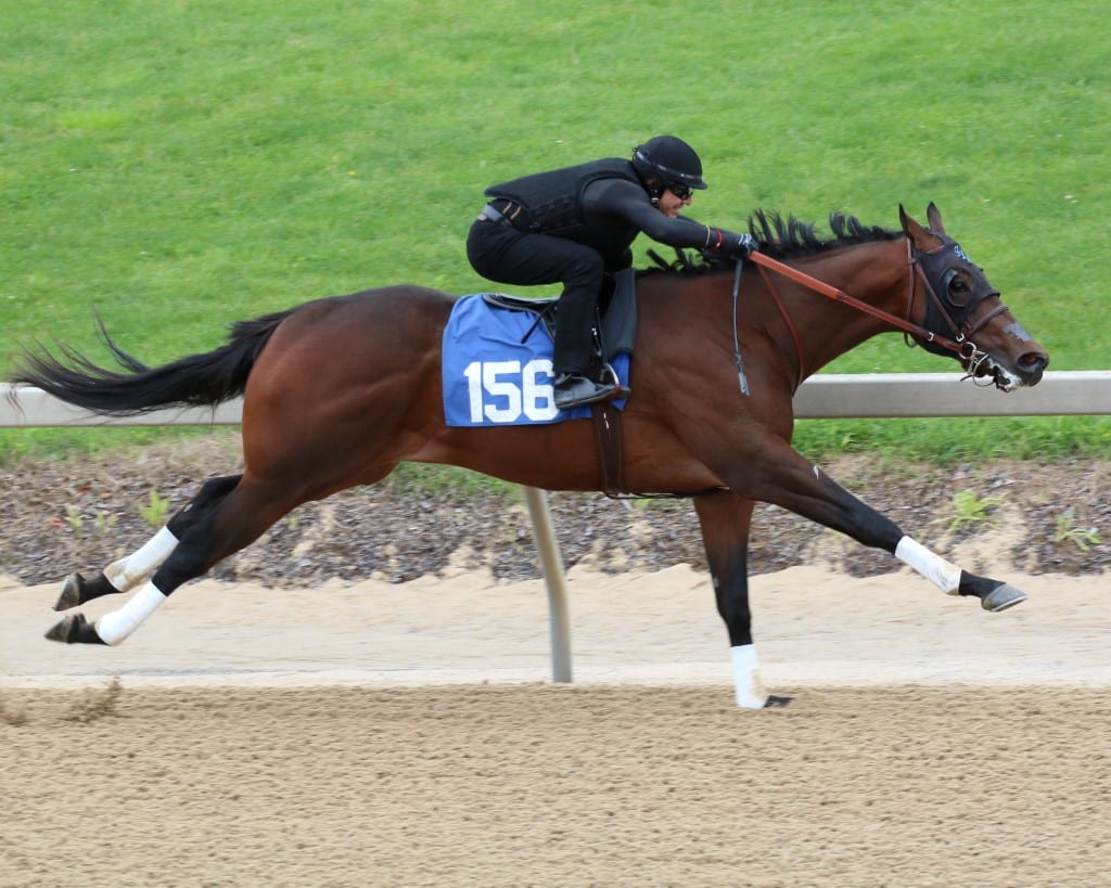 Hip 156 at Fasig-Tipton Midlantic 2yo in training sale 2019