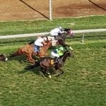 Wrapping up the 2019 Pimlico meet
