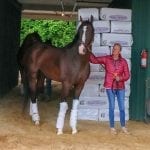 Preakness Memories: Smarty Jones and the almost Triple