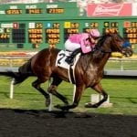 Runnin’toluvya takes lead in Top Midlantic-bred Poll