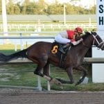 Preakness Profiles: War of Will