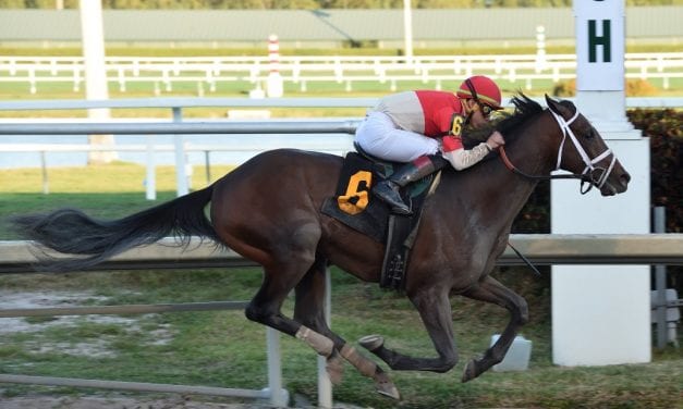 Bourbon War looks to drink up Preakness score