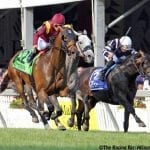 Fasig-Tipton to combine two sales at December mixed