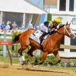 Daniel Centeno: I liked Alwaysmining from first time I rode him