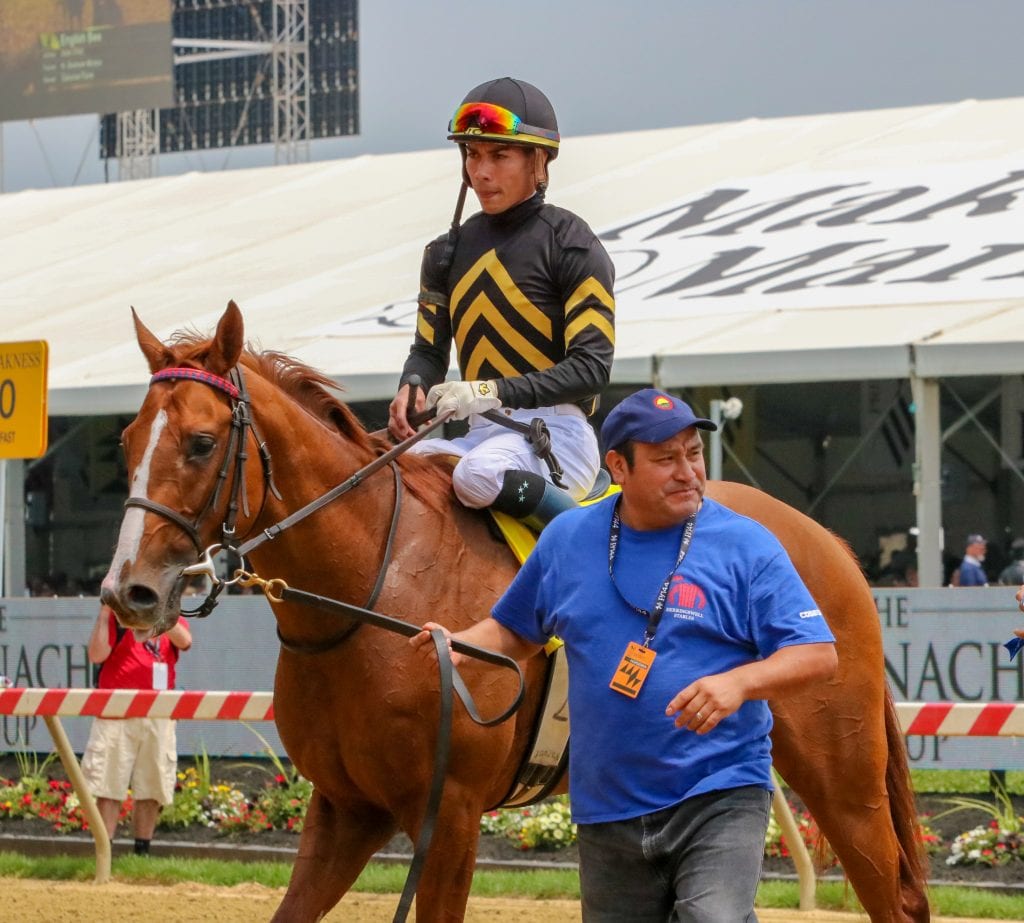 English Bee won the James Murphy Stakes at Pimlico. Photo by Dottie Miller.