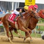 Md. Racing Commission bolsters vet coverage for Preakness