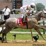 Five takeaways from Maryland Million