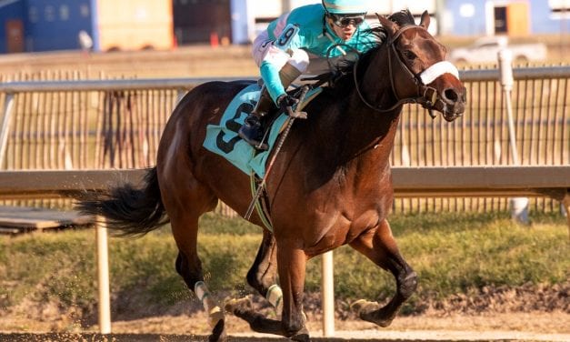 Pricey Autonomous looks for first stakes score in Blue Mtn.