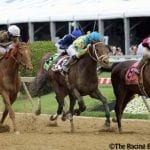 Bourbon War looks to drink up Preakness score