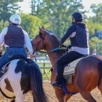 Preakness Profiles: Win Win Win