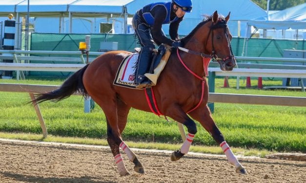 Dottie Miller’s Preakness week photo diary: Wednesday