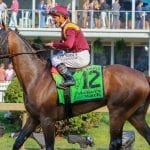 Harpers First Ride upsets Pimlico Special